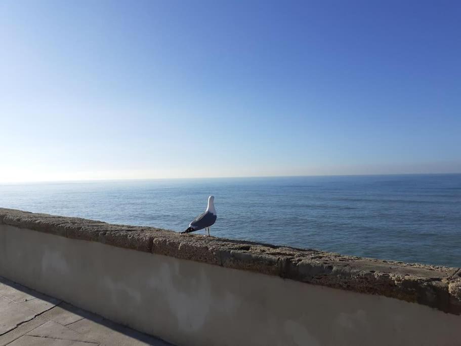 Mar Y Sol Apartman Cádiz Kültér fotó
